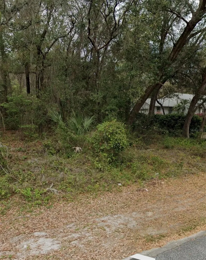 101 Piney Woods Road Apopka FL 32703