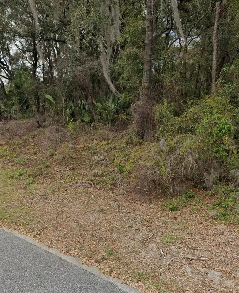 101 Piney Woods Road Apopka FL 32703
