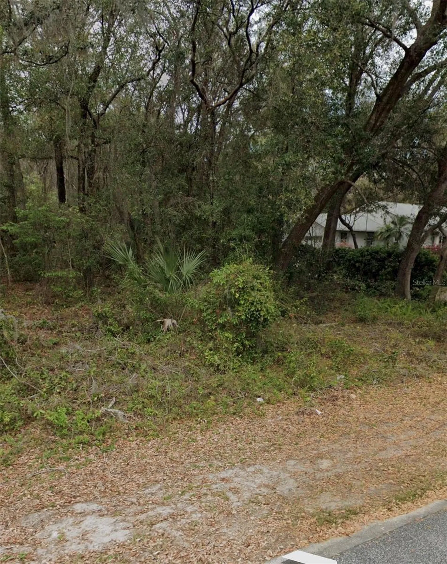 101 Piney Woods Road Apopka FL 32703