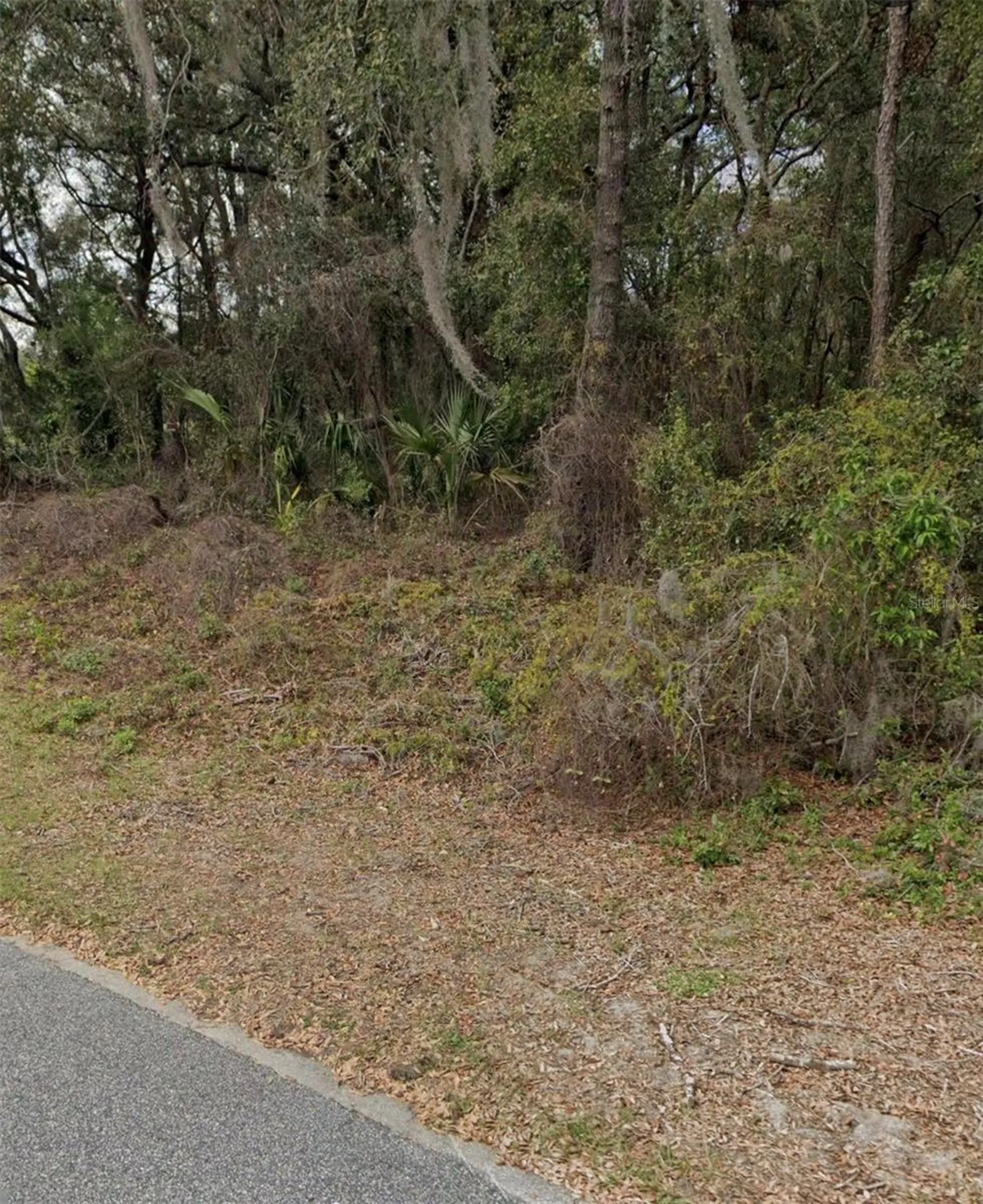 101 Piney Woods Road Apopka FL 32703