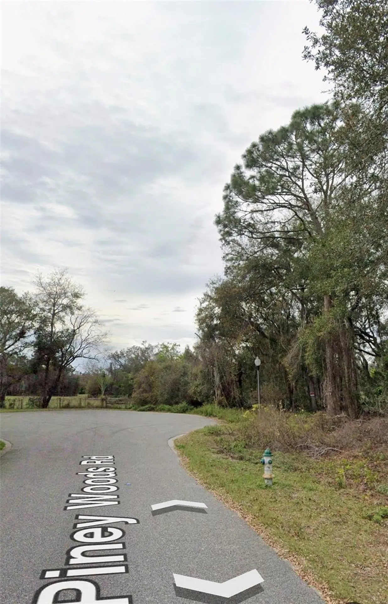 101 Piney Woods Road Apopka FL 32703