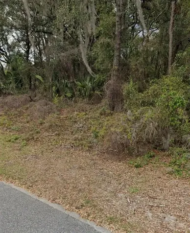101 Piney Woods Road Apopka FL 32703