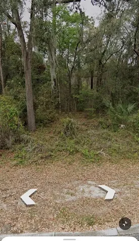 101 Piney Woods Road Apopka FL 32703