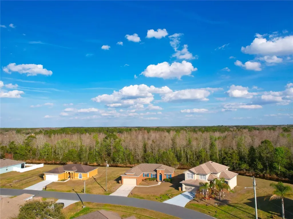 735 Palaiseau Court Kissimmee FL 34759