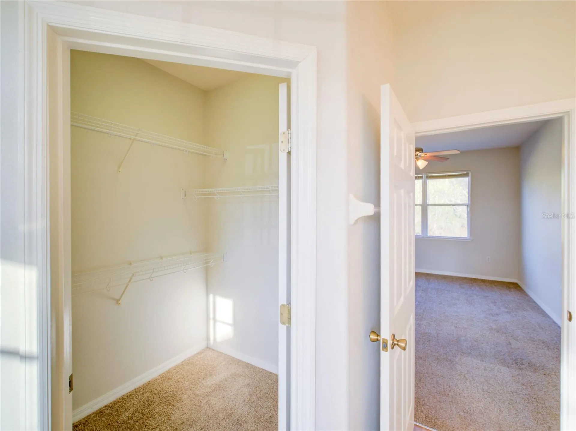 735 Palaiseau Court Kissimmee FL 34759