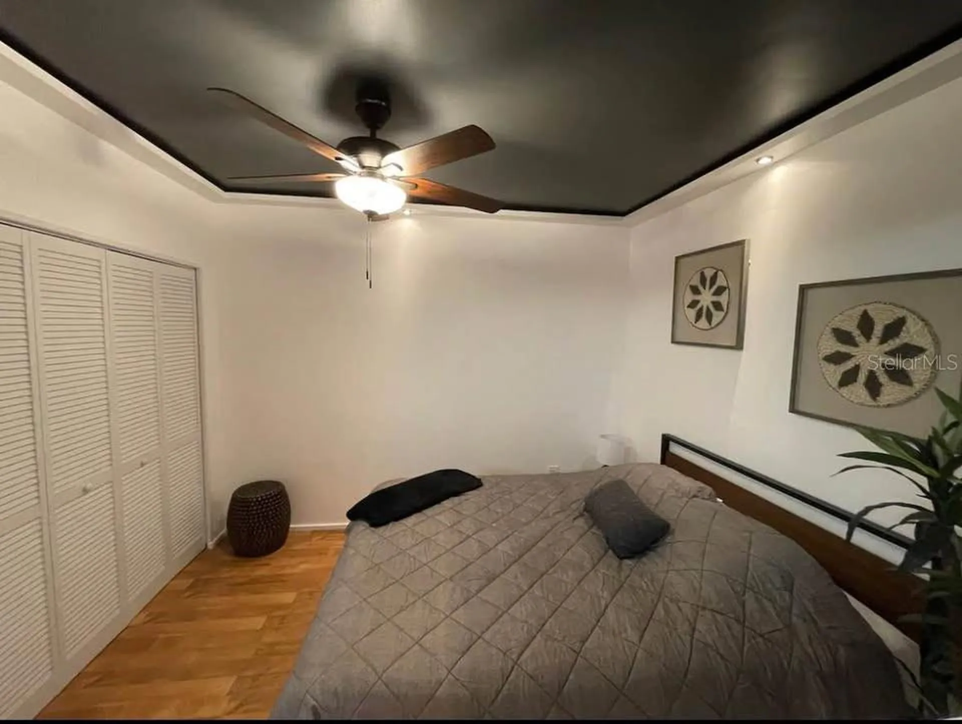 7908 W Elm Street Tampa FL 33615