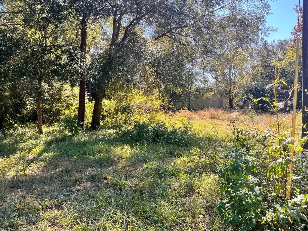 0000 SW 134th Avenue Archer FL 32618