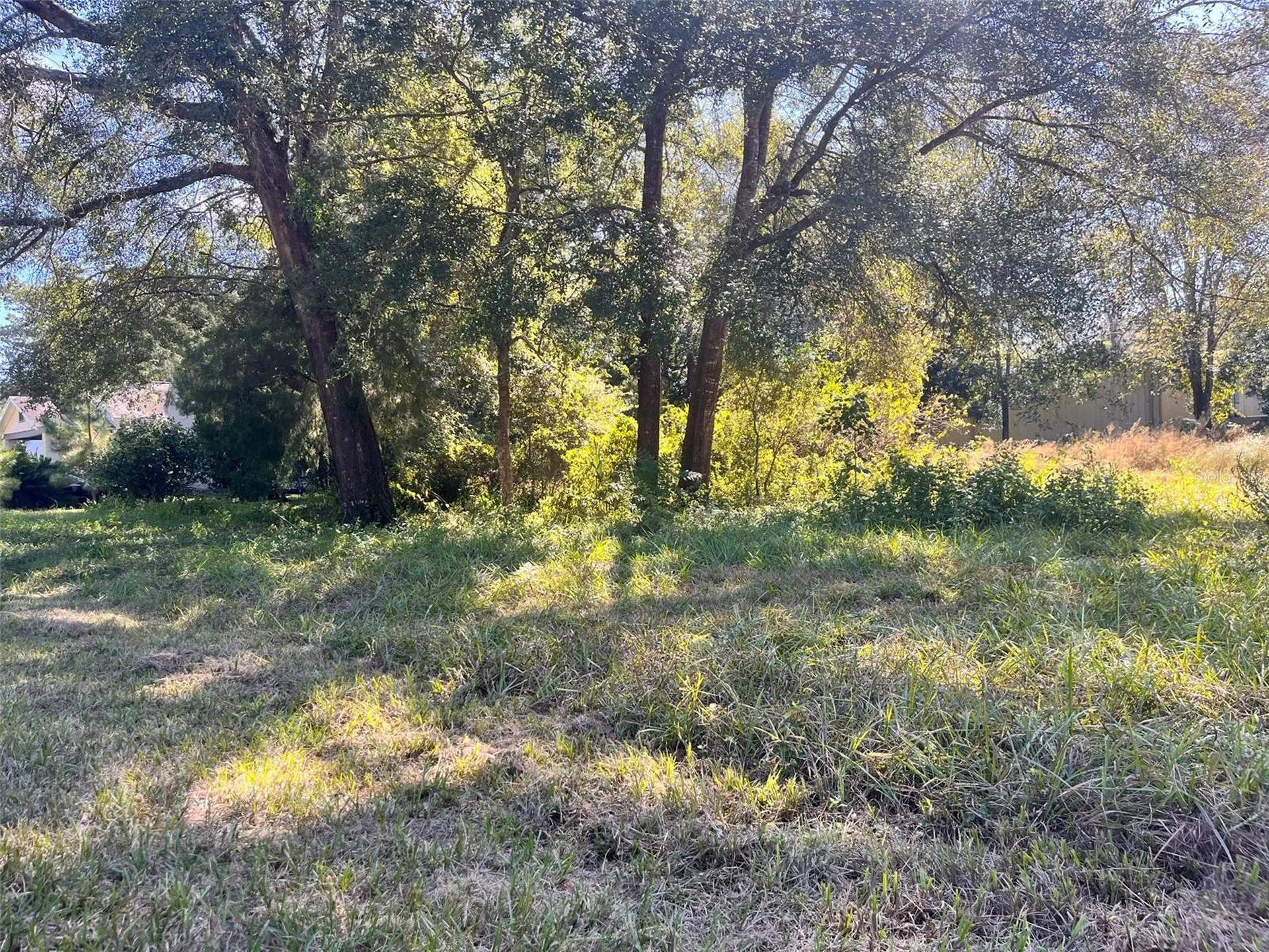 0000 SW 134th Avenue Archer FL 32618