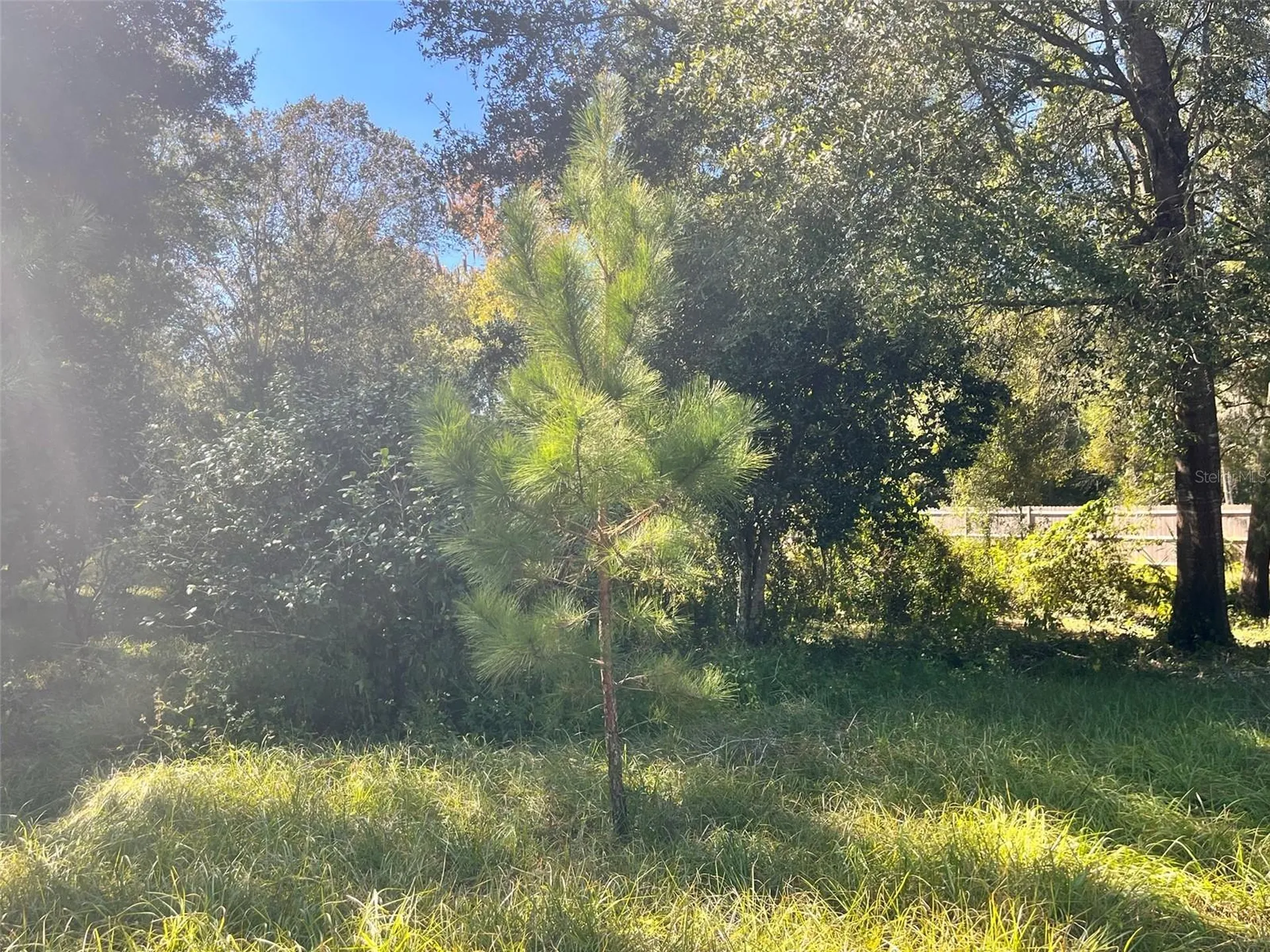 0000 SW 134th Avenue Archer FL 32618
