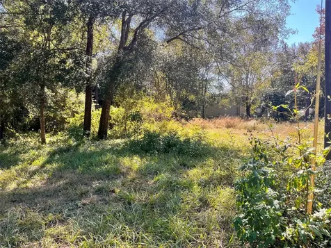 0000 SW 134th Avenue Archer FL 32618