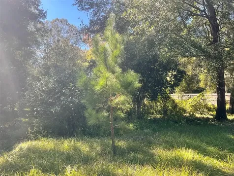 0000 SW 134th Avenue Archer FL 32618