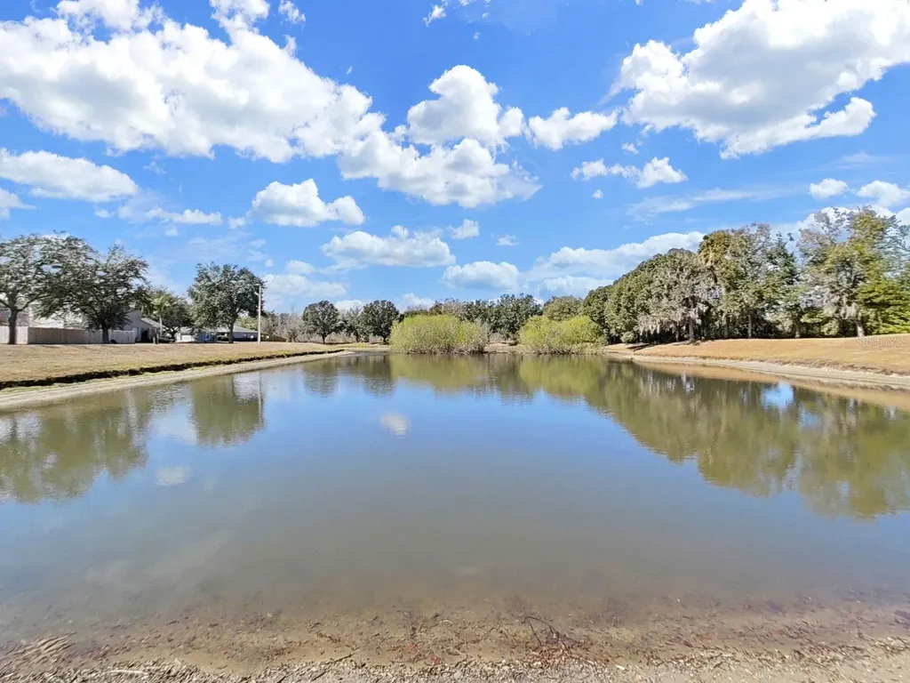 1606 Marsh Wood Drive Seffner FL 33584
