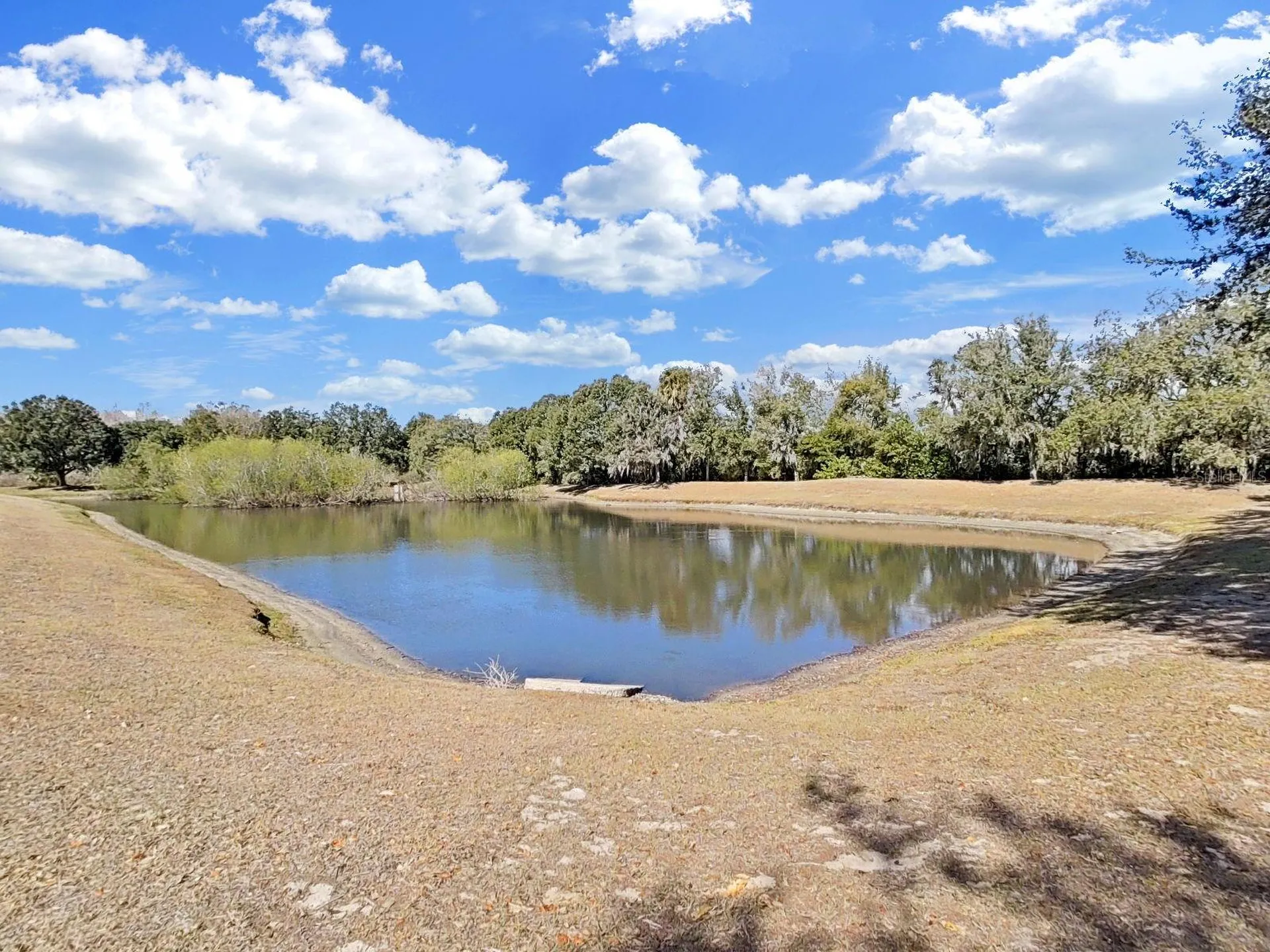 1606 Marsh Wood Drive Seffner FL 33584