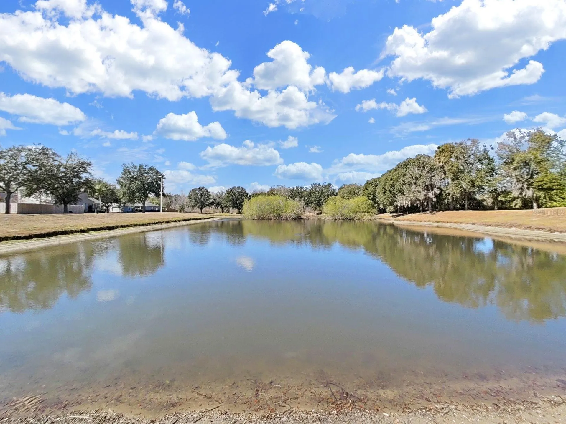 1606 Marsh Wood Drive Seffner FL 33584
