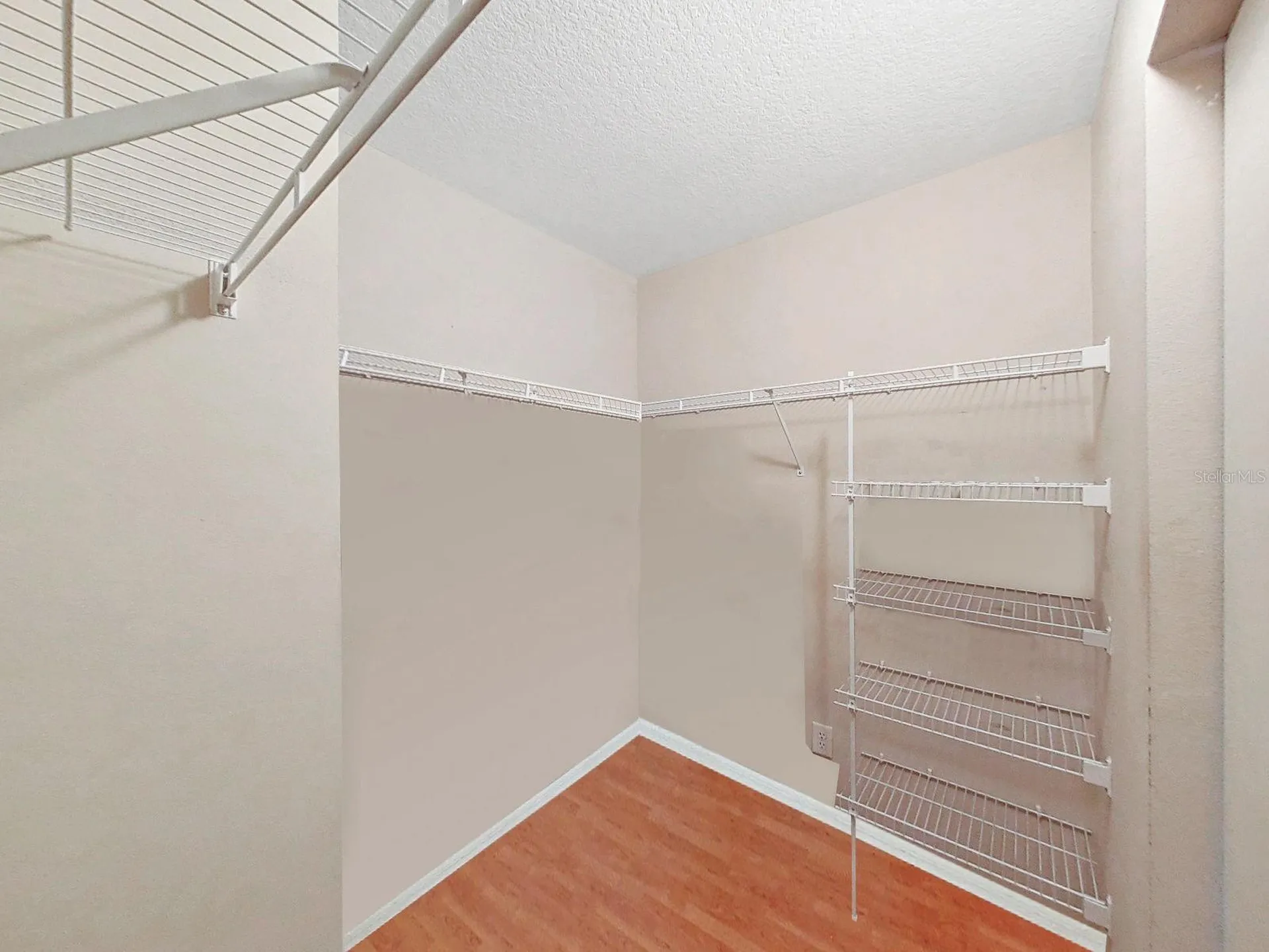 1606 Marsh Wood Drive Seffner FL 33584