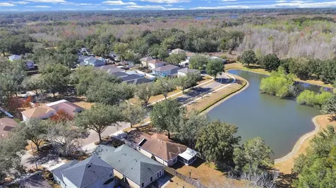 1606 Marsh Wood Drive Seffner FL 33584