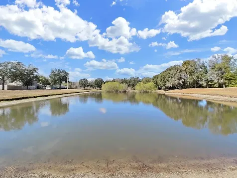 1606 Marsh Wood Drive Seffner FL 33584