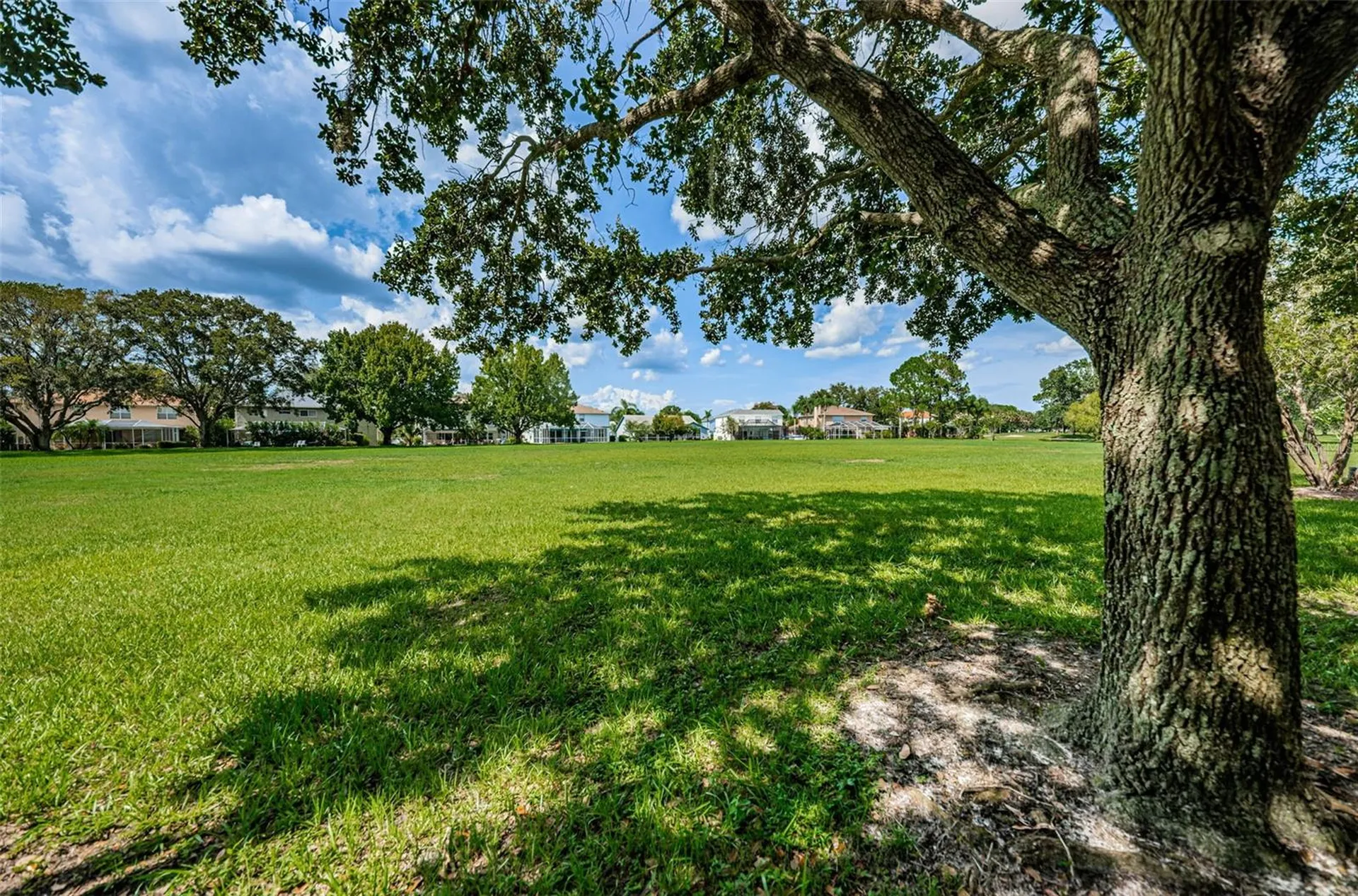 12038 Stone Crossing Circle Tampa FL 33635