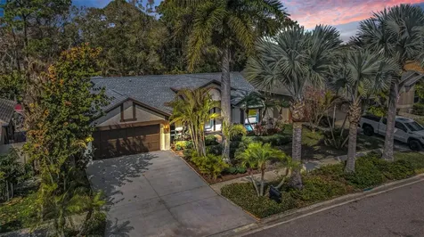 12038 Stone Crossing Circle Tampa FL 33635