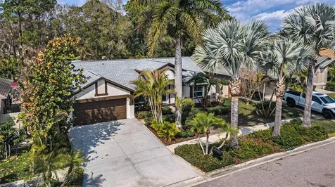 12038 Stone Crossing Circle Tampa FL 33635