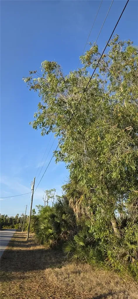 13262 Gorman Avenue Port Charlotte FL 33981