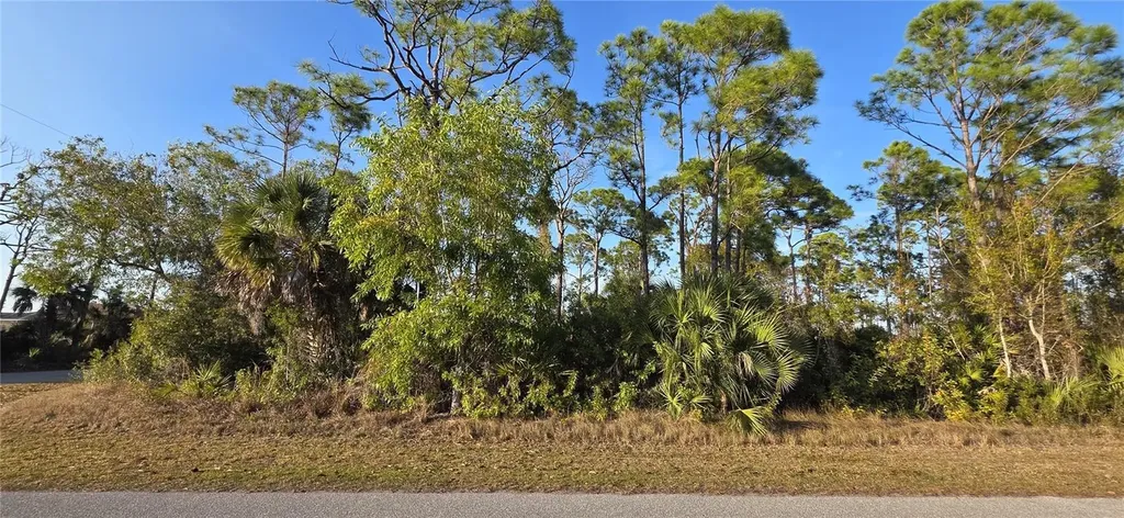 13262 Gorman Avenue Port Charlotte FL 33981