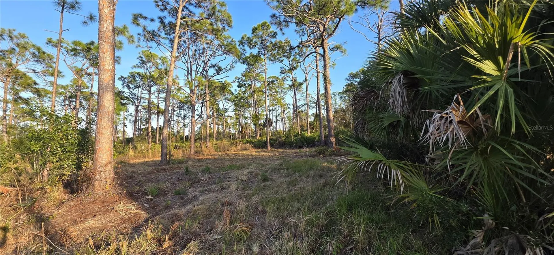 13262 Gorman Avenue Port Charlotte FL 33981