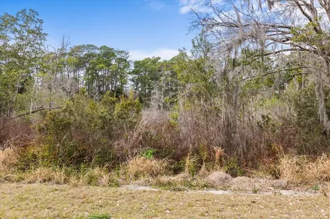 455 Briar Patch Lane Geneva FL 32732