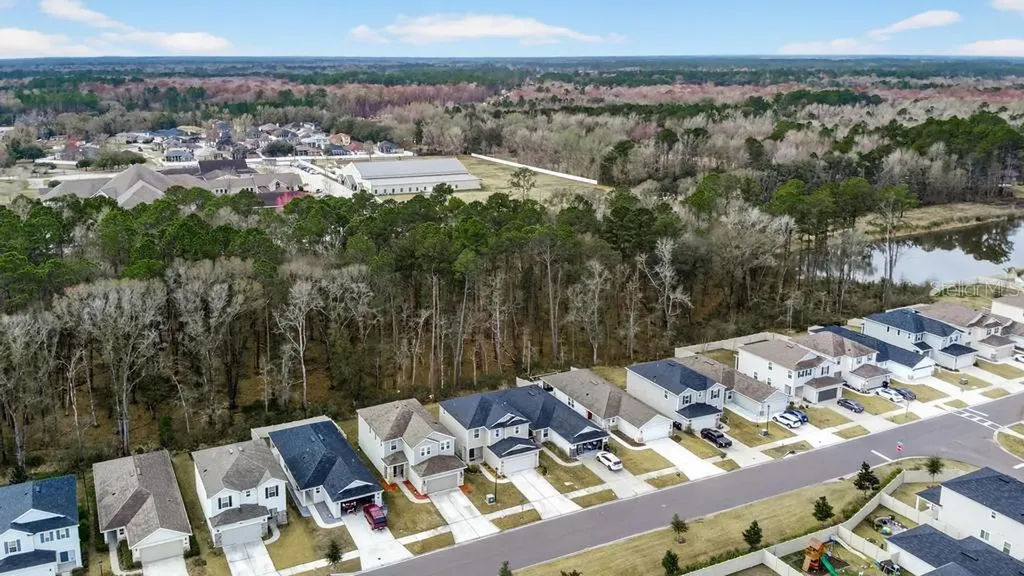 2929 Lucille Lane Middleburg FL 32068