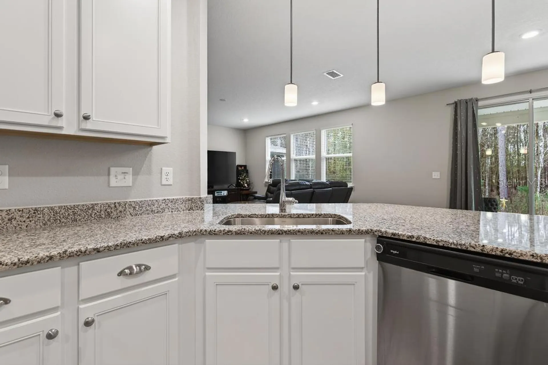 2929 Lucille Lane Middleburg FL 32068