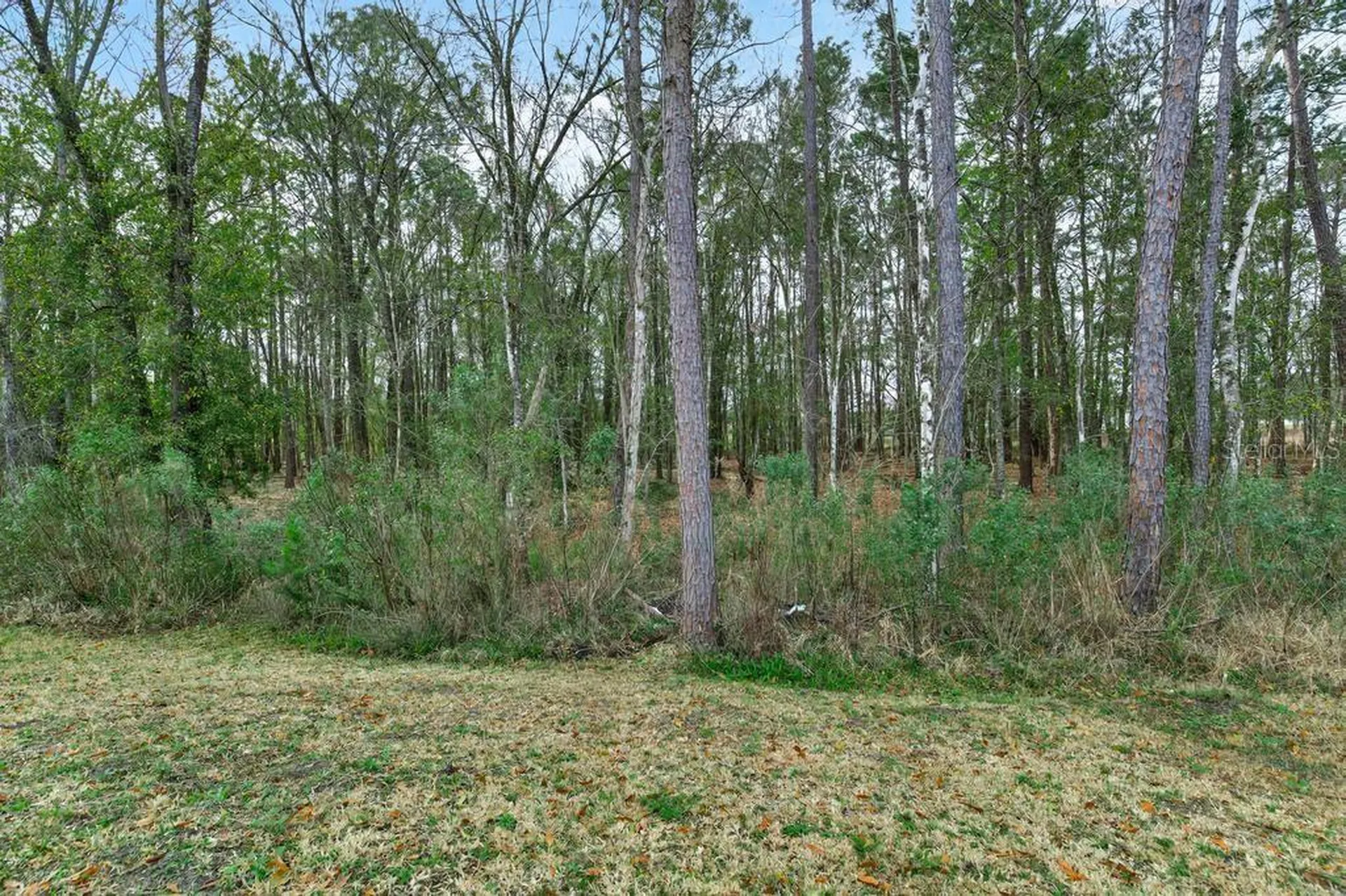 2929 Lucille Lane Middleburg FL 32068