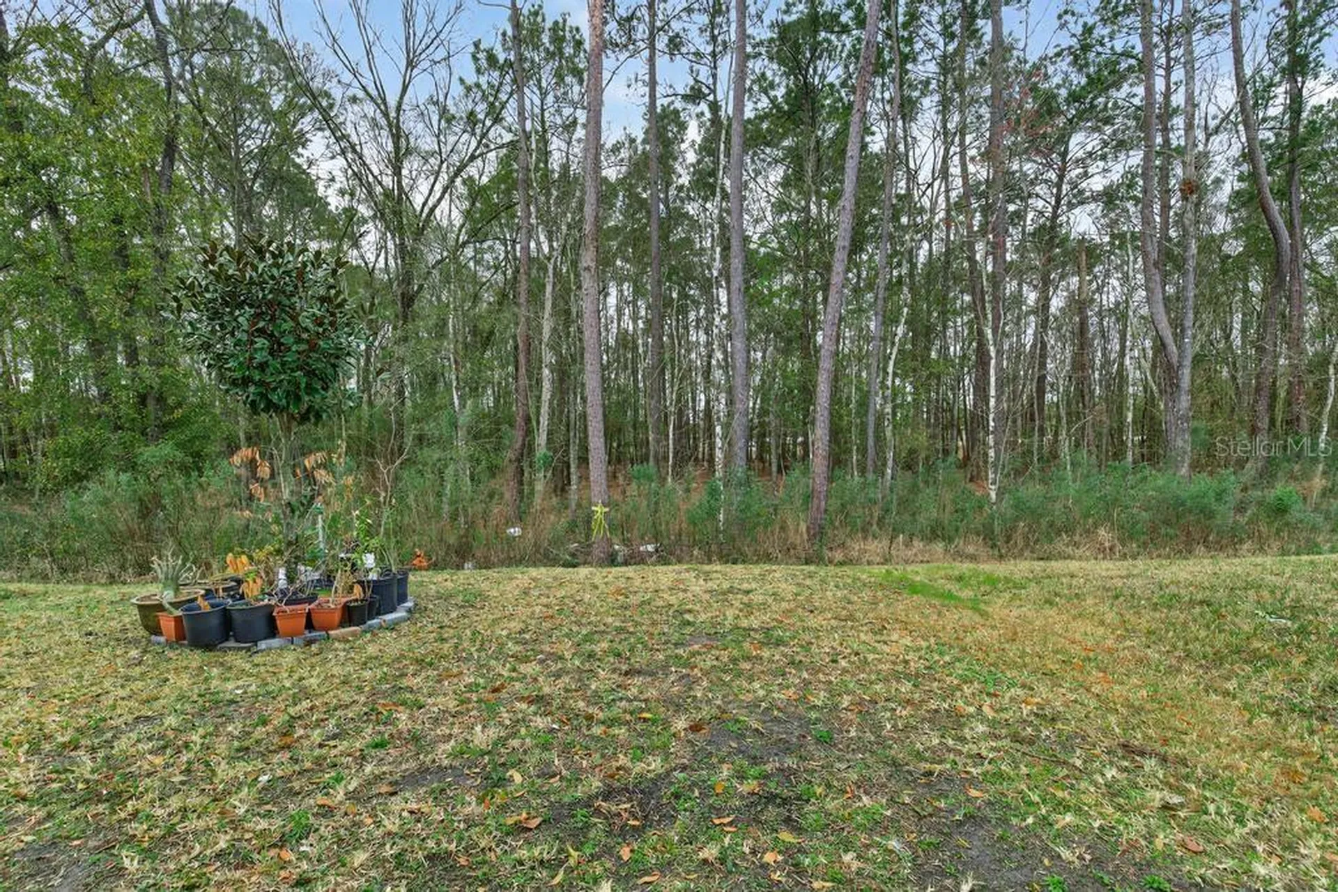 2929 Lucille Lane Middleburg FL 32068