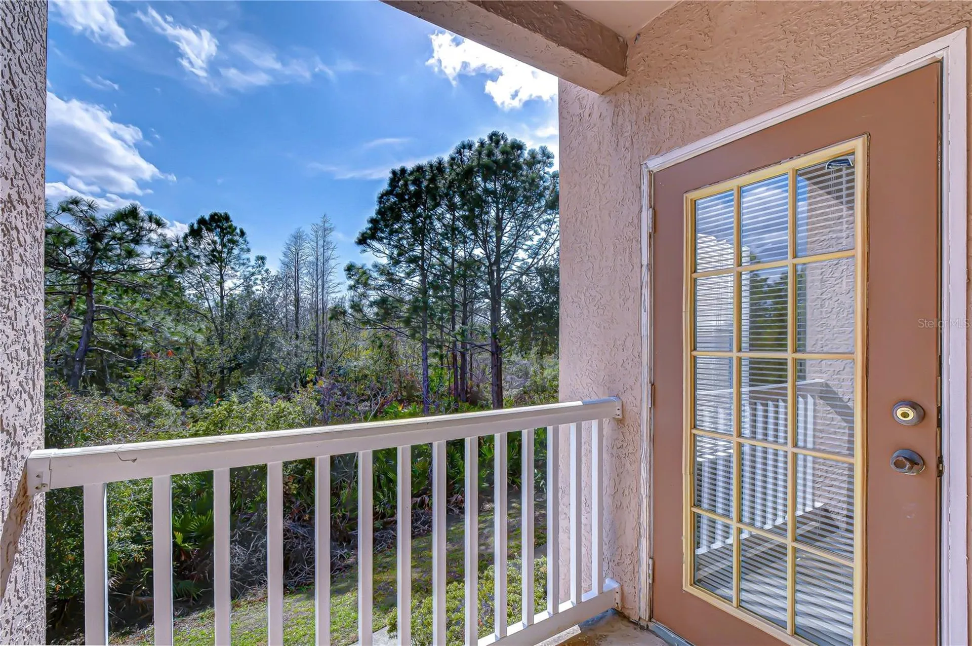 10409 Villa View Circle Tampa FL 33647