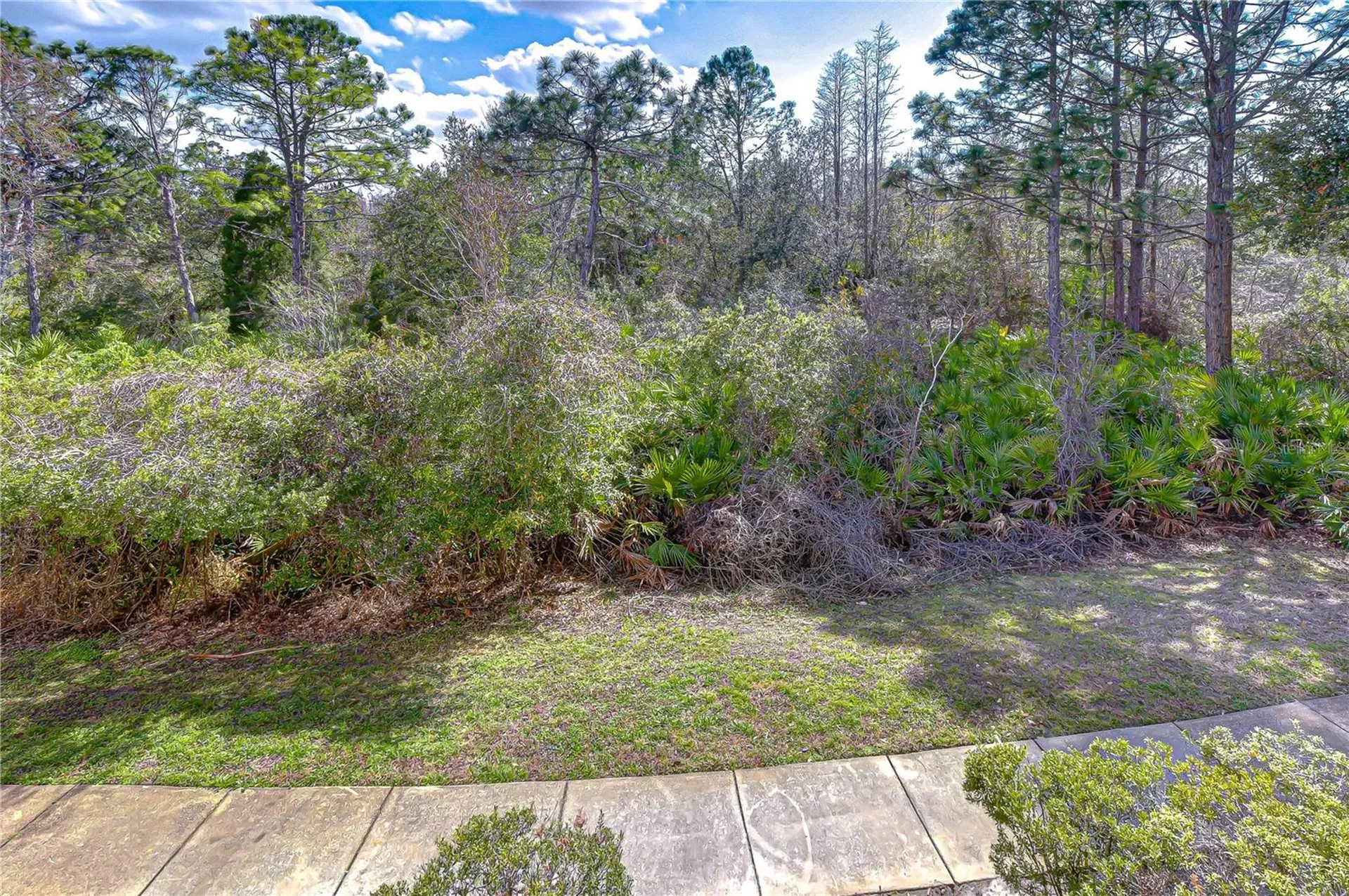 10409 Villa View Circle Tampa FL 33647