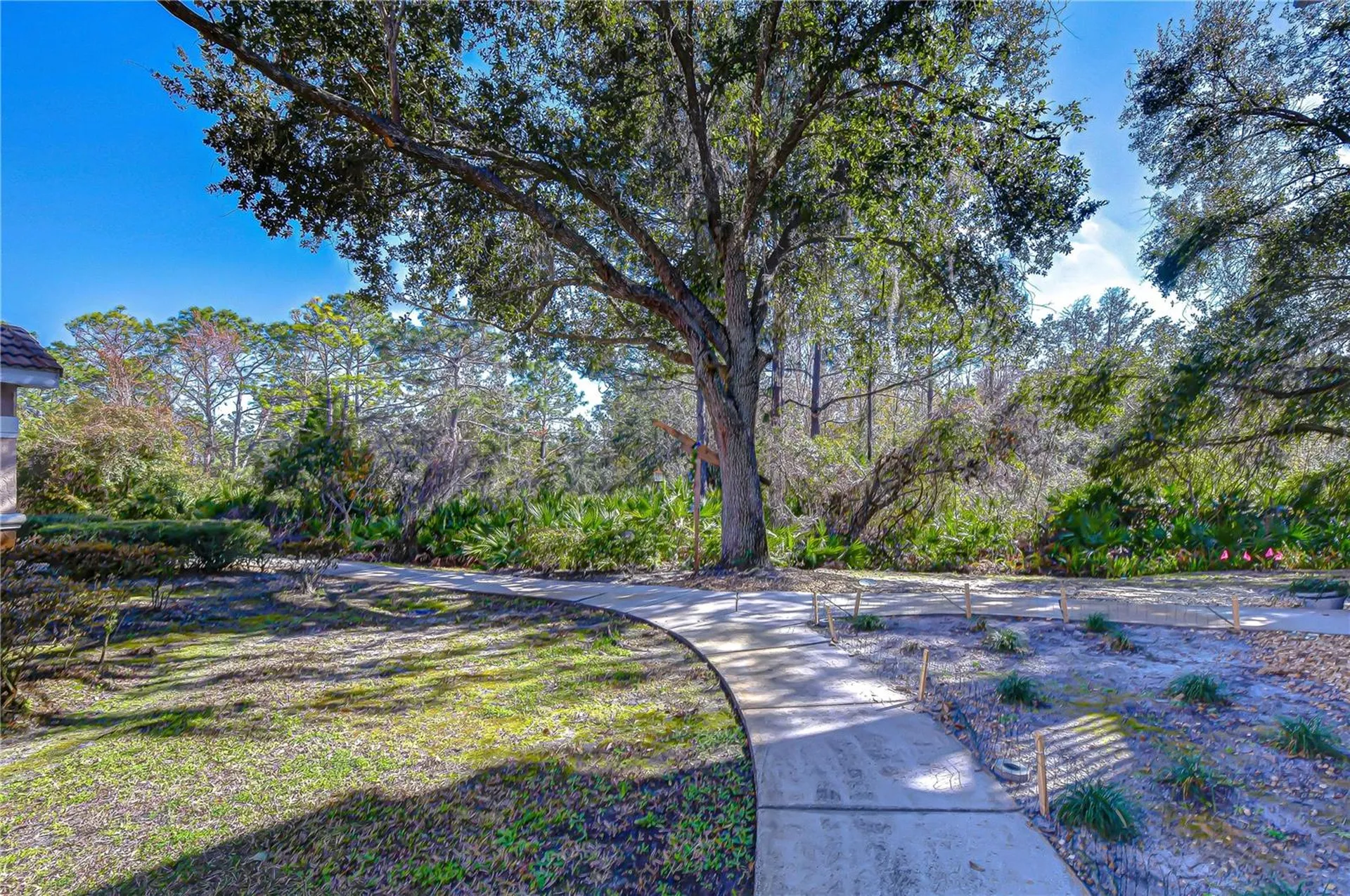 10409 Villa View Circle Tampa FL 33647