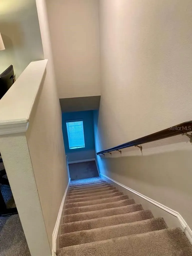 7234 Grand Elm Drive Riverview FL 33578