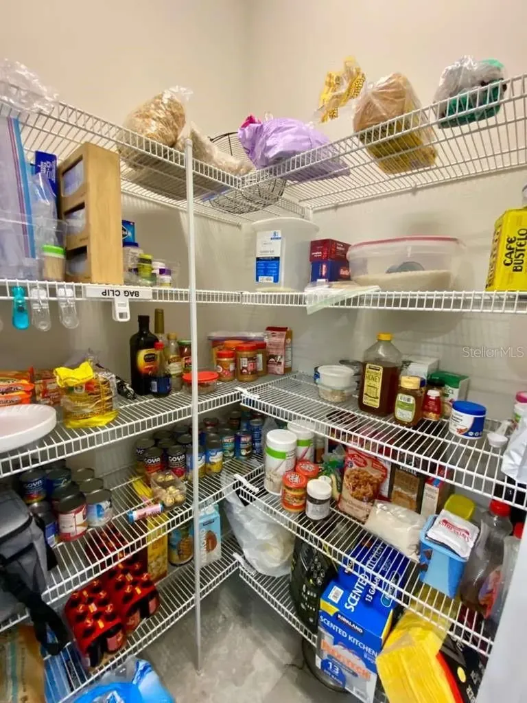 7234 Grand Elm Drive Riverview FL 33578