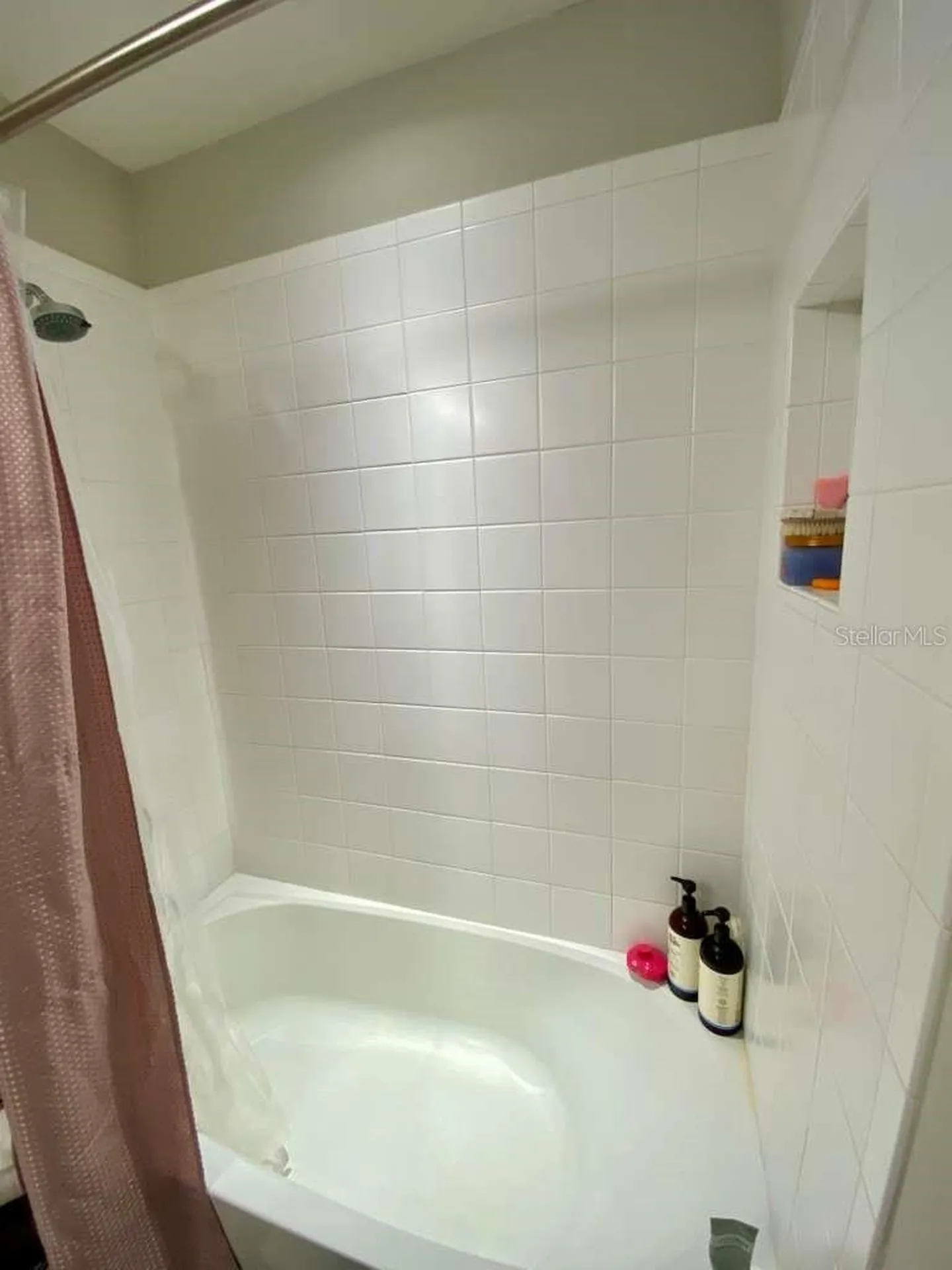 7234 Grand Elm Drive Riverview FL 33578