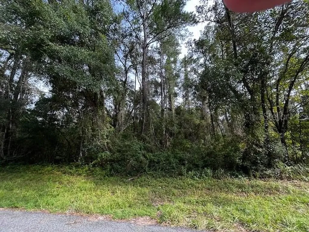 552 E Caldwell Drive Dunnellon FL 34434