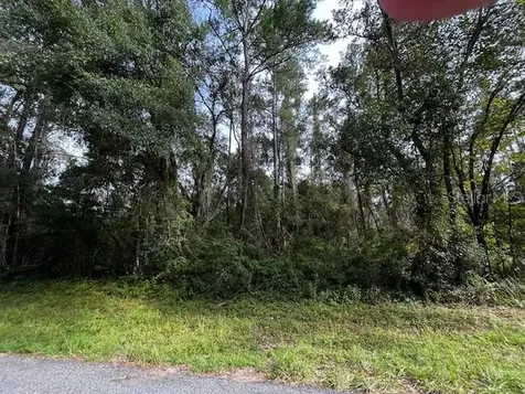 552 E Caldwell Drive Dunnellon FL 34434
