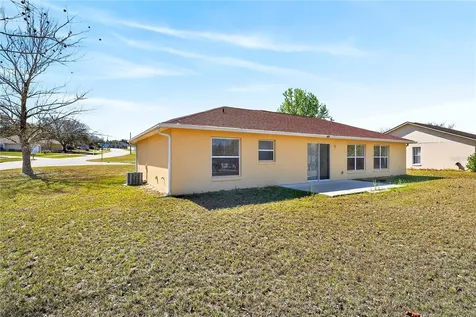 13133 Baneberry Court Clermont FL 34711