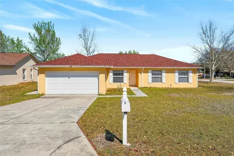 13133 Baneberry Court Clermont FL 34711