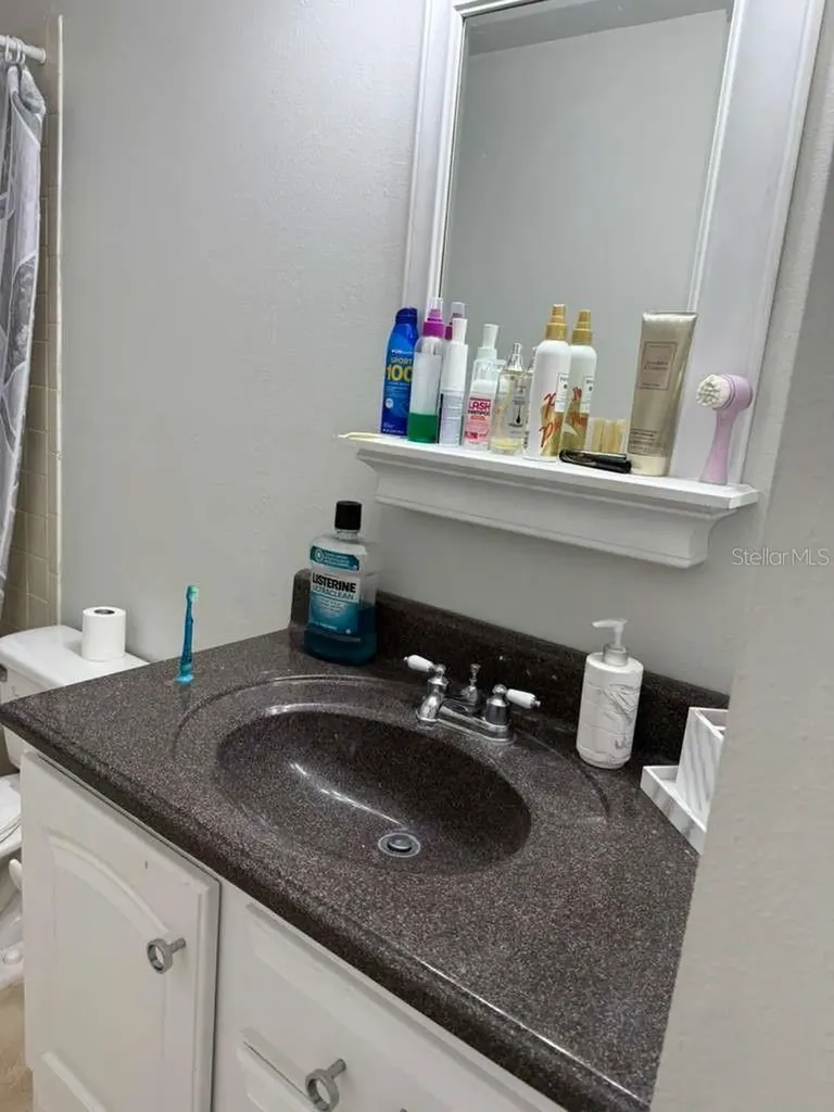 1421 Mohrlake Drive Brandon FL 33511