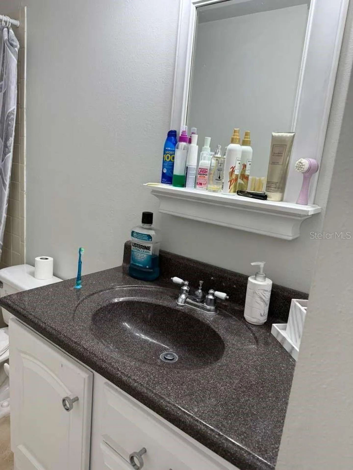 1421 Mohrlake Drive Brandon FL 33511