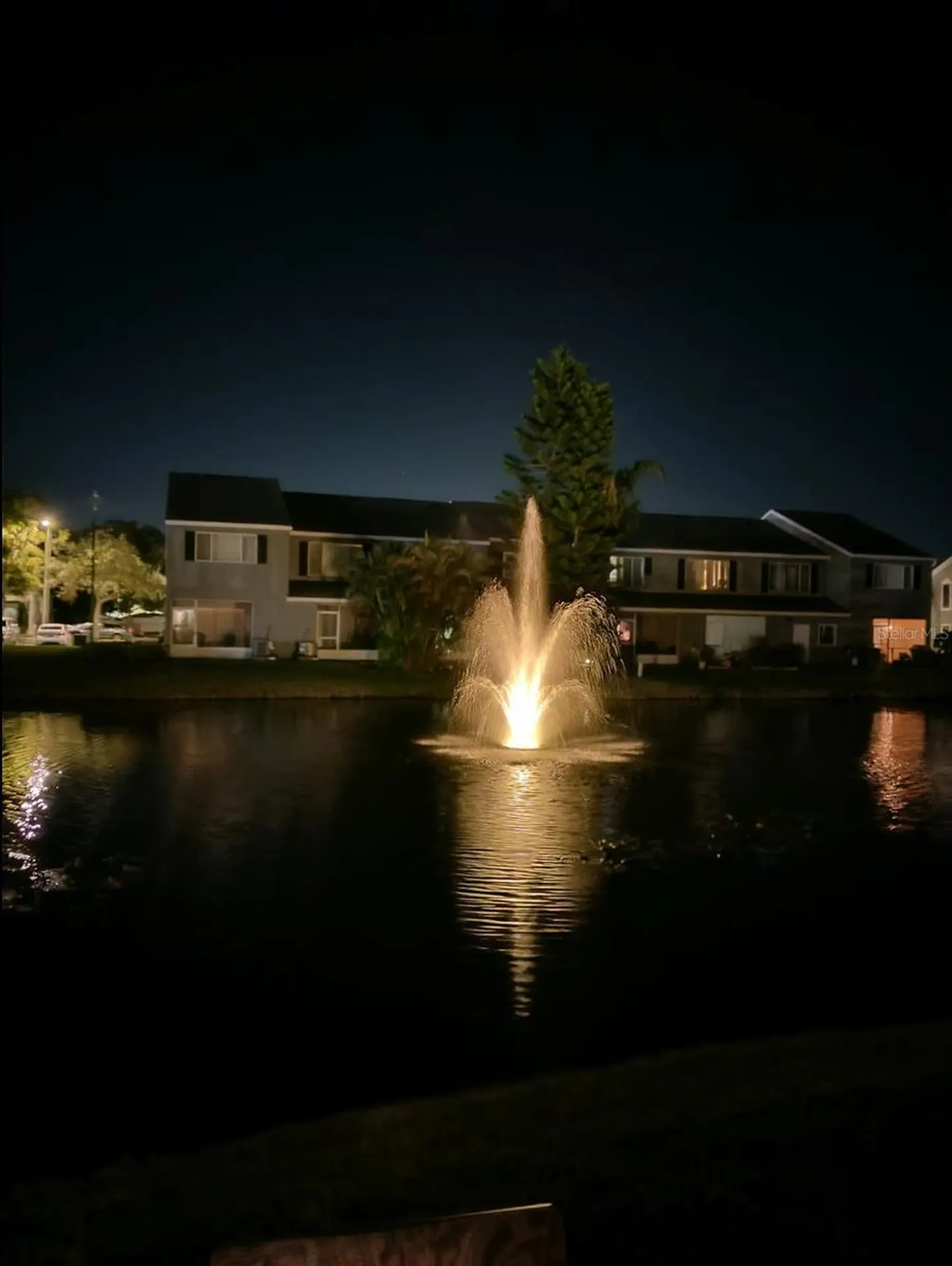 388 Countryside Key Boulevard Oldsmar FL 34677