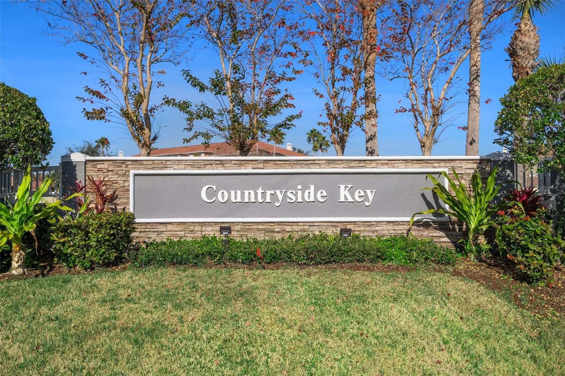 388 Countryside Key Boulevard Oldsmar FL 34677
