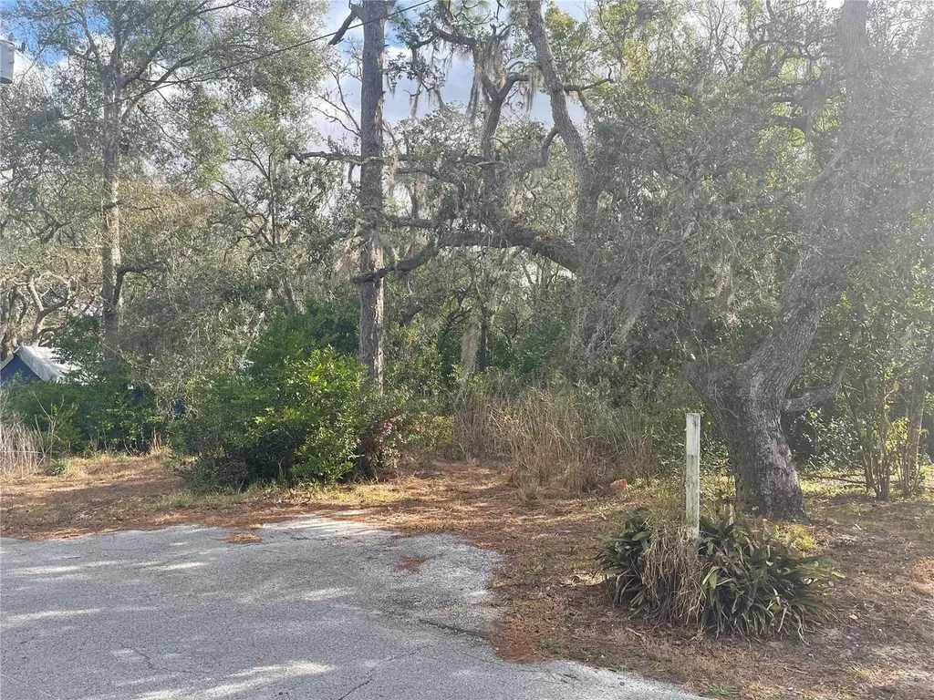 10024 Oana Street New Port Richey FL 34654