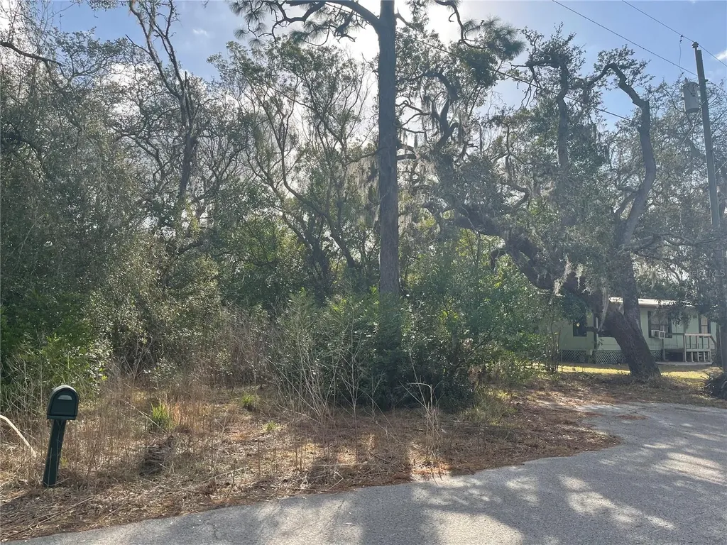 10024 Oana Street New Port Richey FL 34654