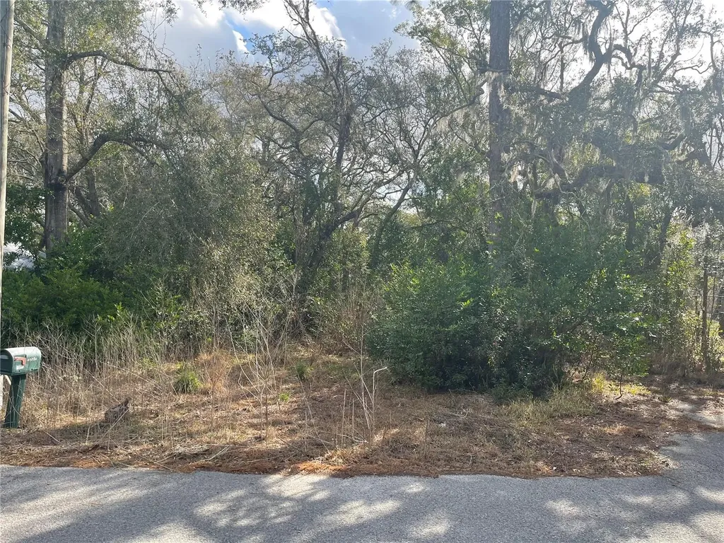 10024 Oana Street New Port Richey FL 34654