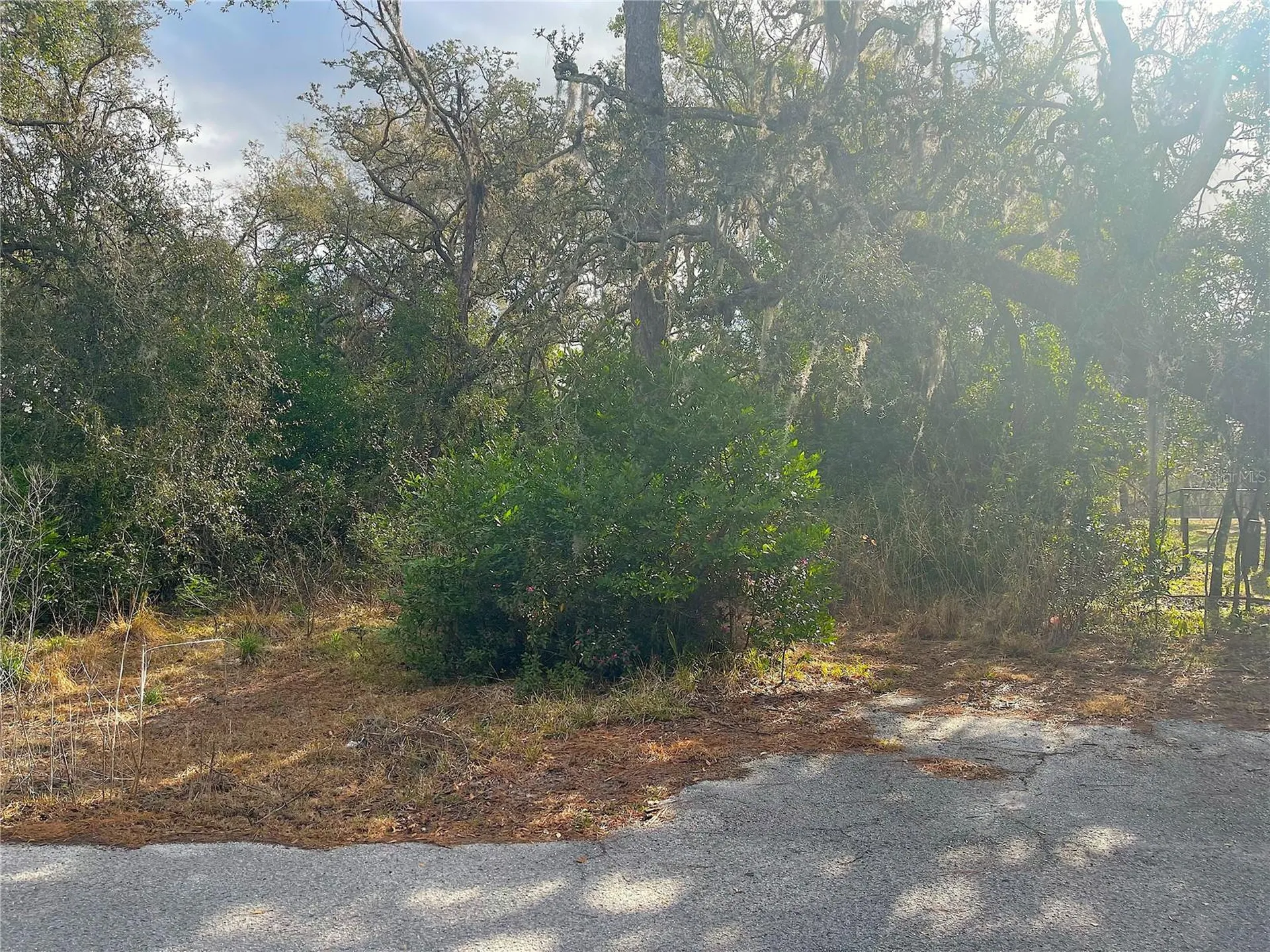 10024 Oana Street New Port Richey FL 34654